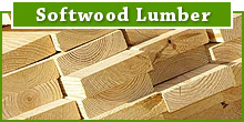 Softwood